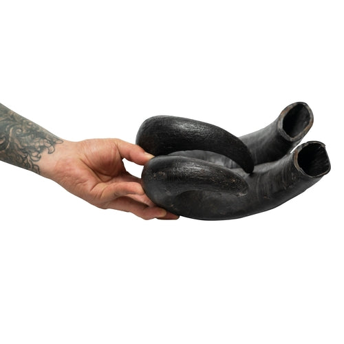Water Buffalo Horn Dog Chews-2 Count-15 oz