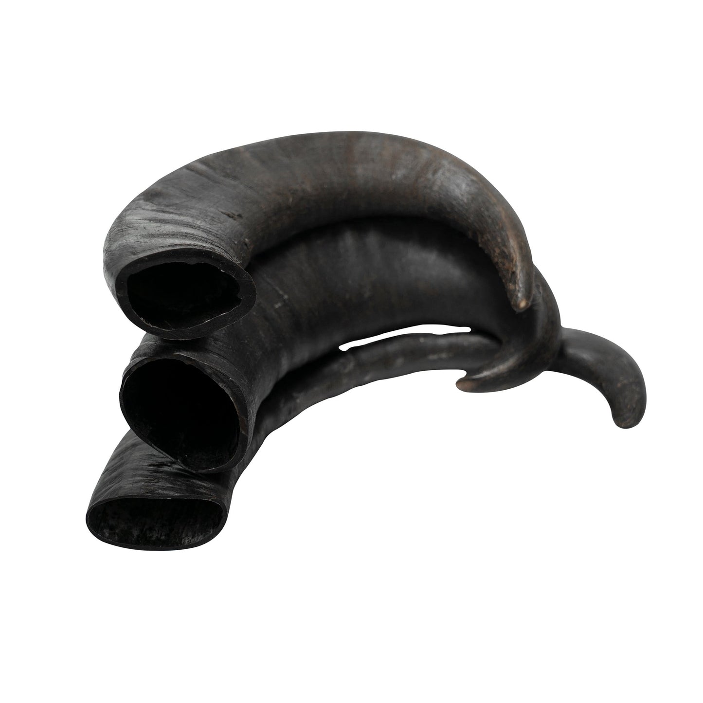 Water Buffalo Horn Dog Chews-2 Count-15 oz