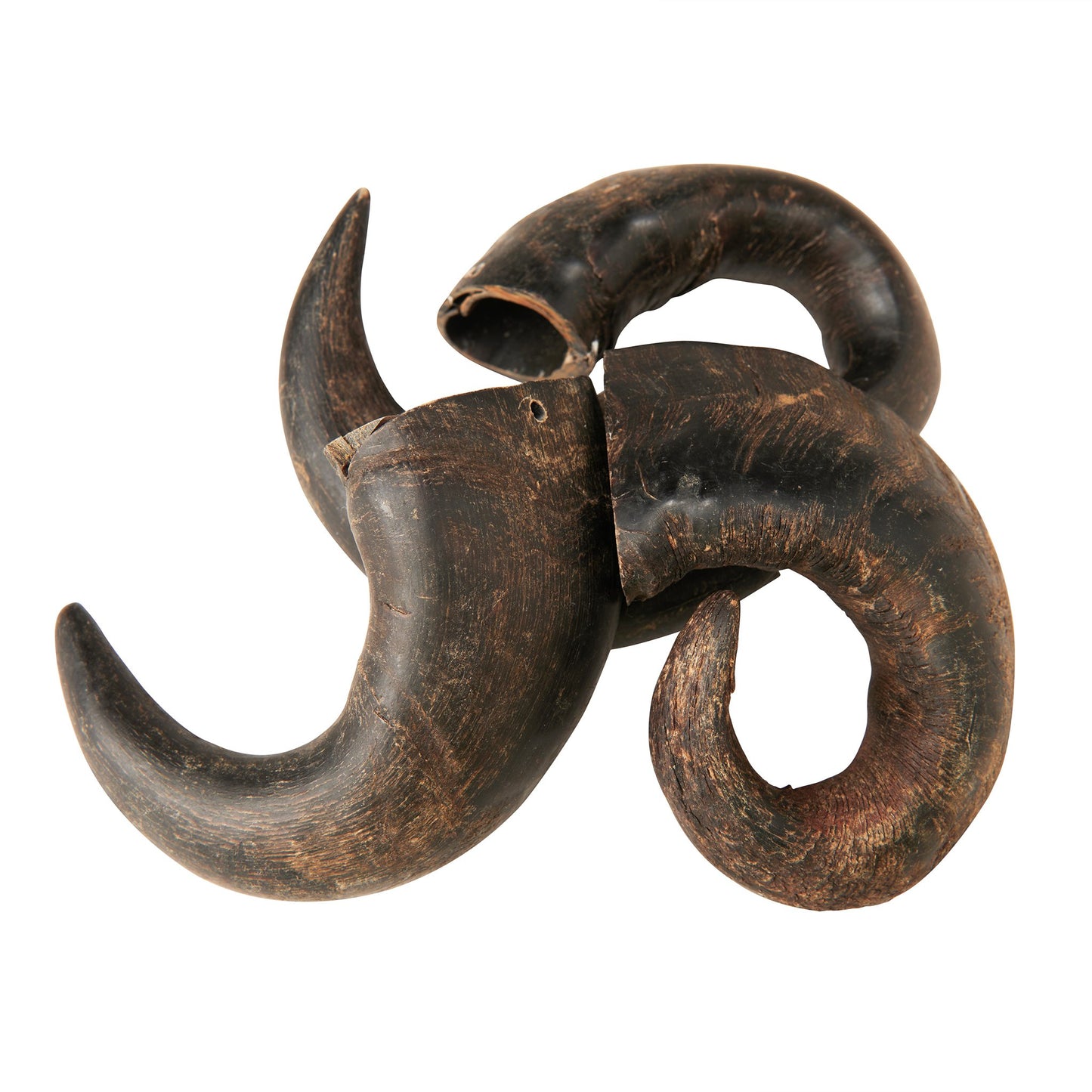 Water Buffalo Horn Dog Chews-2 Count-15 oz