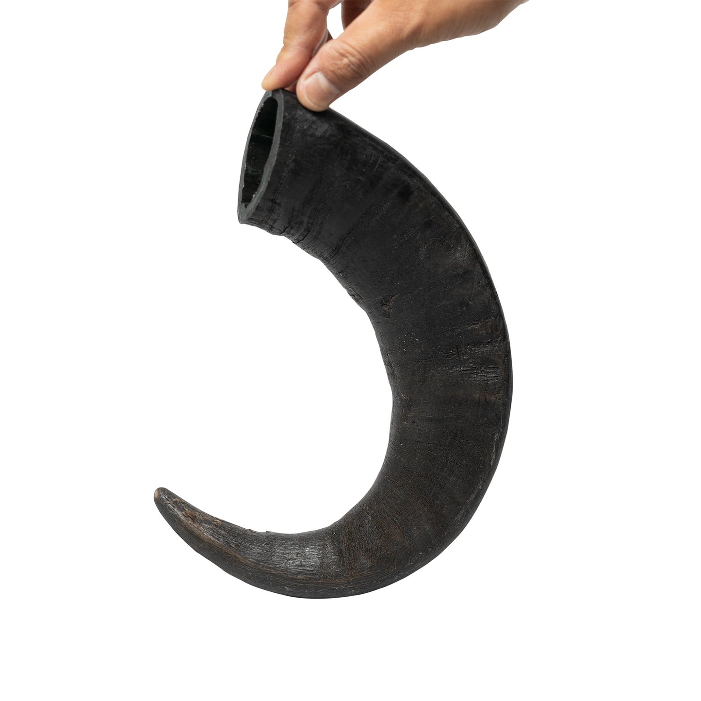 Water Buffalo Horn Dog Chews-2 Count-15 oz