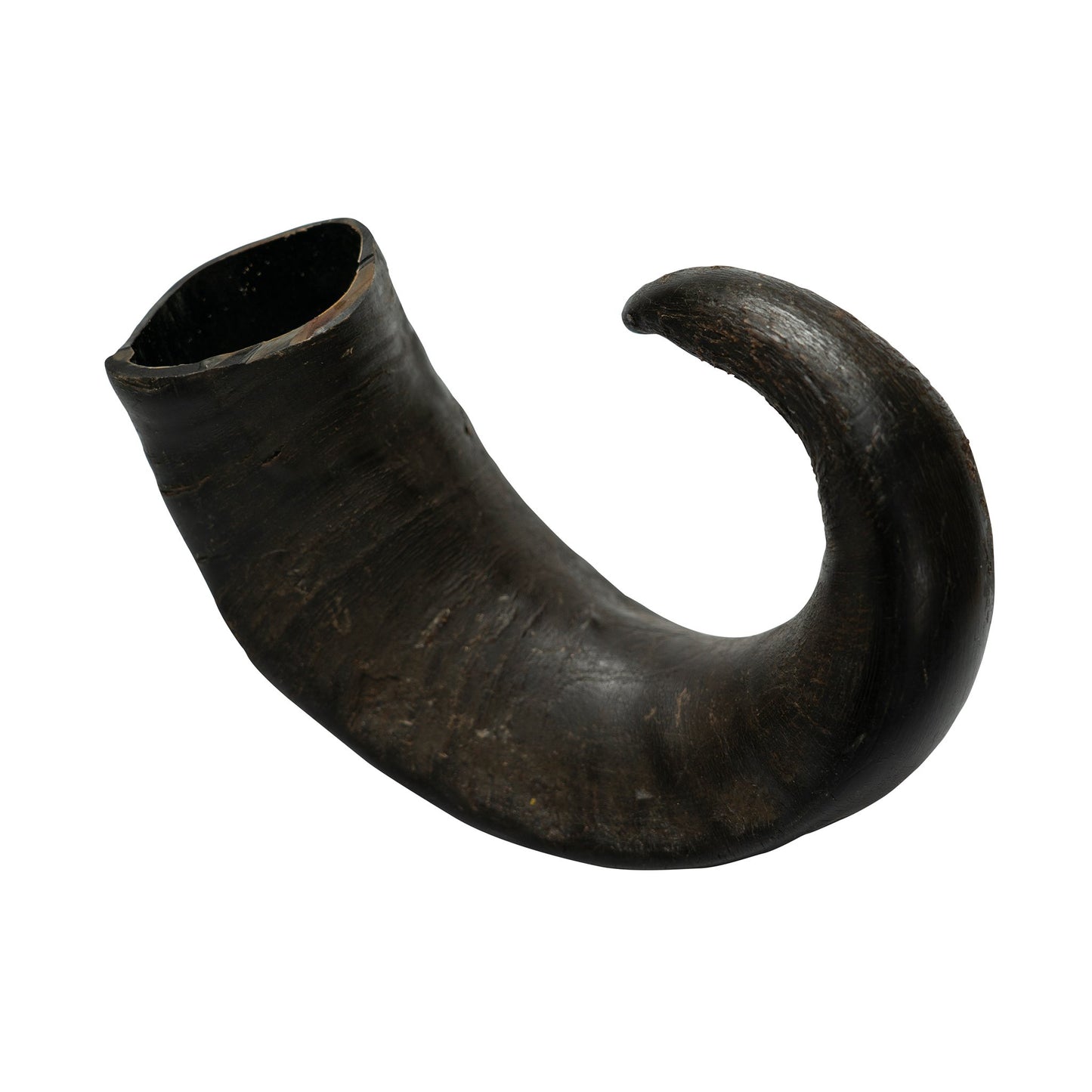 Water Buffalo Horn Dog Chews-2 Count-15 oz